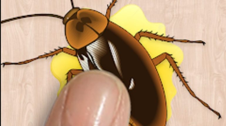 Bekämpfungsmethoden Eierkapseln Exoskelett Gesundheitsrisiken Hygiene Insekten Insektizide Kakerlaken Kolonien Pheromone Phobien professionelle Hilfe Schädlinge Überlebensfähigkeit widerstandsfähig Wohnungsbau 