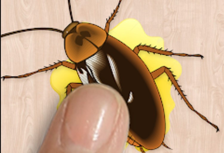 The Cockroach Unwanted Inhabitants and Why You Shouldn&rsquo;t Crush Them 7
