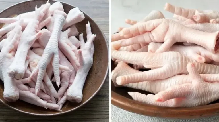 Chicken Feet Collagen Health Benefits Immunity Joint Health Nutrition Skin Health 