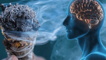 Das alte Ritual, das negative Energie in Minuten klärt: « Ich glaubte nie, bis… » Das alte Ritual, das negative Energie in Minuten klärt: « Ich glaubte nie, bis… »