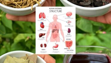 Dieses Morgenritual mit 3 Kräutern, das den Blutzucker ohne Medikation senken kann Dieses Morgenritual mit 3 Kräutern, das den Blutzucker ohne Medikation senken kann