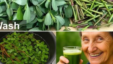 Dieses vergessene Unkraut hat mehr Omega-3 als die meisten Fische (und es wächst in Ihrem Garten) Dieses vergessene Unkraut hat mehr Omega-3 als die meisten Fische (und es wächst in Ihrem Garten)