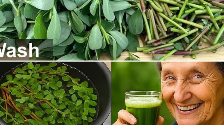 Edible Weeds Gardening Health Benefits Nutrition Omega-3 Plant-Based Superfoods 