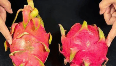 Das Drachenfrucht-Geheimnis, das dir niemand sagt: Was passiert, wenn du aufhörst, diesen Teil wegzuwerfen