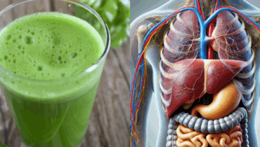 Die verborgene Kraft von Meerrettichblättern: Was passiert, wenn Sie aufhören, sie wegzuwerfen Die verborgene Kraft von Meerrettichblättern: Was passiert, wenn Sie aufhören, sie wegzuwerfen