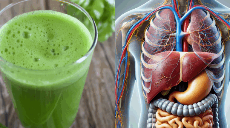 Die verborgene Kraft von Meerrettichblättern: Was passiert, wenn Sie aufhören, sie wegzuwerfen