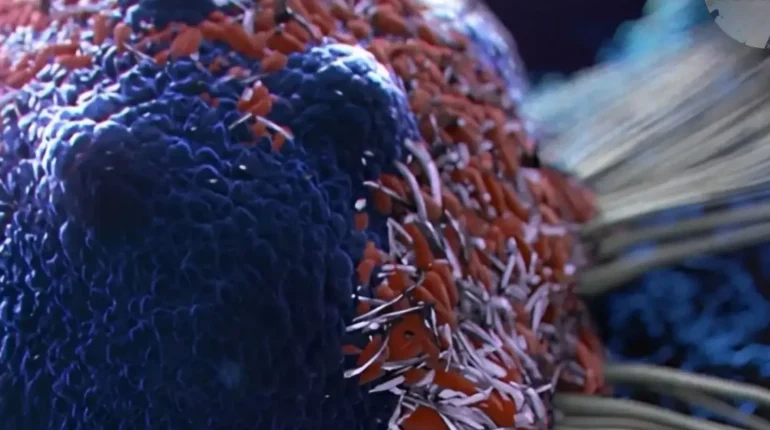 Anti-Cancer Foods Cancer Prevention Diet Healthy Eating Nutrition Superfoods Wellness 