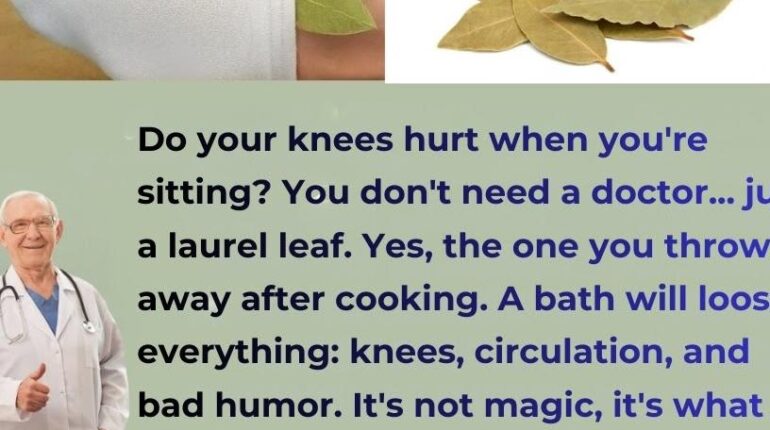 Bay Leaves Herbalism Home Remedies Joint Health Knee Pain Natural Remedies Wellness 