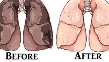Das 3-Sekunden-Morgenritual, das Ihren Geist schärft und Ihr Herz schützt (Ärzte erklären endlich warum) Das 3-Sekunden-Morgenritual, das Ihren Geist schärft und Ihr Herz schützt (Ärzte erklären endlich warum)