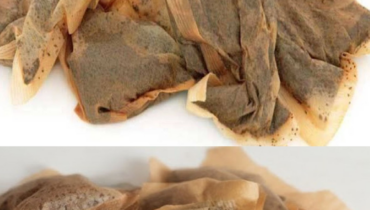 Teebeutel nach Gebrauch: 12 bewährte Wege, wie sie Ihr Zuhause reinigen, heilen und desodorieren Teebeutel nach Gebrauch: 12 bewährte Wege, wie sie Ihr Zuhause reinigen, heilen und desodorieren