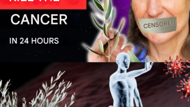 Olivenblatt und Zellgesundheit: Was Barbara O’Neills Präventivansatz über Oxygenierung und natürliche Antioxidantien offenbart Olivenblatt und Zellgesundheit: Was Barbara O’Neills Präventivansatz über Oxygenierung und natürliche Antioxidantien offenbart