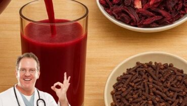 Antioxidants Avocado Leaves Daily Wellness Superfoods Traditional Medicine Waste Reduction 