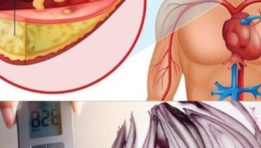 Rote Zwiebeln und Blutzucker: Wie dieses 10-Minuten-Rezept dabei hilft, den Blutzuckerspiegel auf natürliche Weise zu stabilisieren Rote Zwiebeln und Blutzucker: Wie dieses 10-Minuten-Rezept dabei hilft, den Blutzuckerspiegel auf natürliche Weise zu stabilisieren