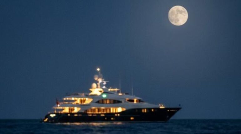 Conspiracy Family Betrayal Forensics Intelligence revenge Survival Story True Crime 