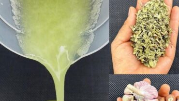 Chayote, Knoblauch & Oregano: Das Morgenritual, das Leberfunktion und Stoffwechselgleichgewicht unterstützt Chayote, Knoblauch & Oregano: Das Morgenritual, das Leberfunktion und Stoffwechselgleichgewicht unterstützt