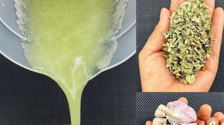 Chayote Garlic Healthy Lifestyle Liver Health Metabolic Balance Natural Remedies Oregano 