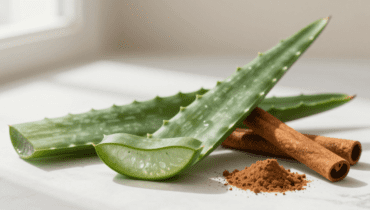 Aloe Vera und Zimt: 5 traditionelle Rezepte für Sehkraft und Verdauung (und ihre Vorsichtsmaßnahmen) Aloe Vera und Zimt: 5 traditionelle Rezepte für Sehkraft und Verdauung (und ihre Vorsichtsmaßnahmen)