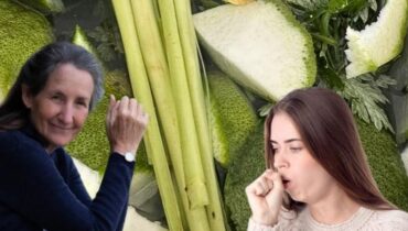 Body Chills Cold and Flu Congestion Relief Herbal Steam Natural Remedies 