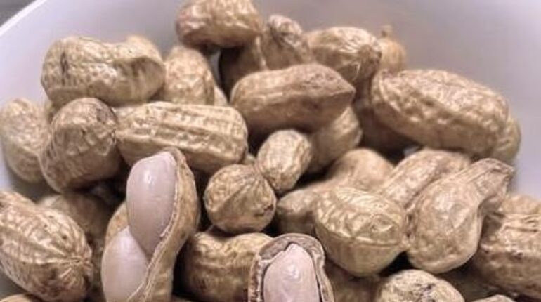 Bladder Health Blood Sugar Cholesterol Healthy Eating Legumes Nutrition Peanuts 