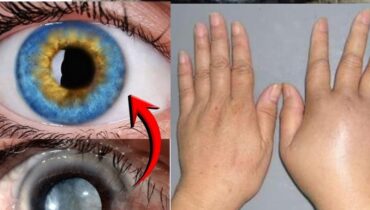 Indische Borretsch: Wie ein Blatt pro Tag Verdauung, Immunität und Gelenkkomfort auf natürliche Weise unterstützt