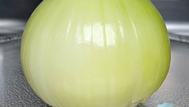 Die geheime Zutat, die Köche dir nie sagen: « Ich lege Zwiebeln in die Mikrowelle und… » Die geheime Zutat, die Köche dir nie sagen: « Ich lege Zwiebeln in die Mikrowelle und… »