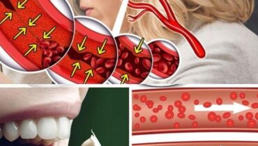 Knoblauchs verborgene Kraft: Warum 95% der Menschen seine Vorteile zerstören, indem sie diesen einfachen 10-Minuten-Schritt überspringen Knoblauchs verborgene Kraft: Warum 95% der Menschen seine Vorteile zerstören, indem sie diesen einfachen 10-Minuten-Schritt überspringen