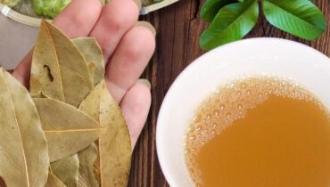 Noni, Guavenblätter und Kurkuma: Wie Dieses Traditionelle Pflanziges Tonikum Die Durchblutung Unterstützt und Entzündungen Auf Natürliche Weise Reduziert