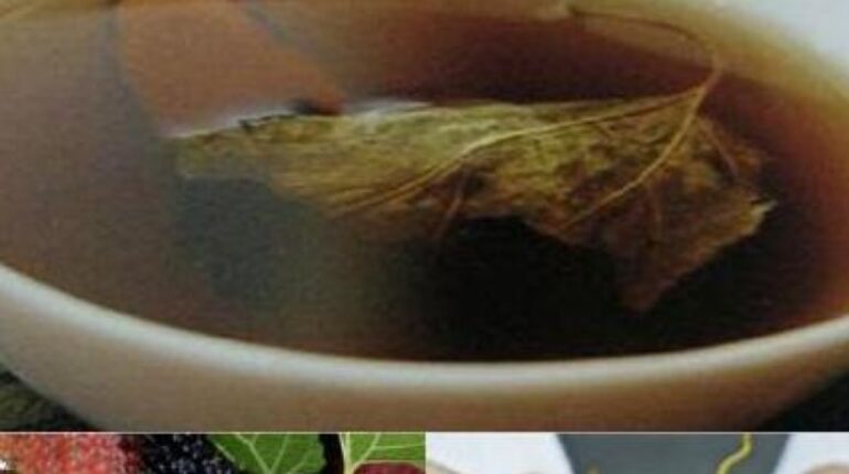 Antioxidants Black Mulberry Leaves Blood Sugar Cardiovascular Health Diabetes Longevity Natural Health 