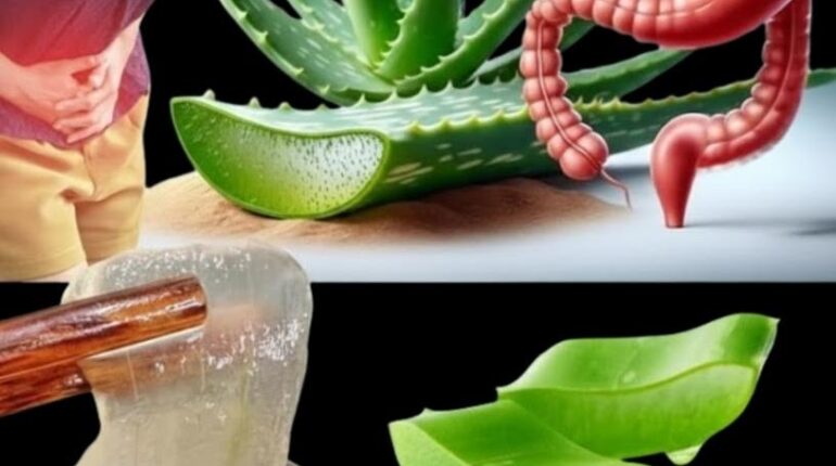 Aloe Vera Daily Wellness Digestion Honey Hormonal Balance Skin Health Women's Health 