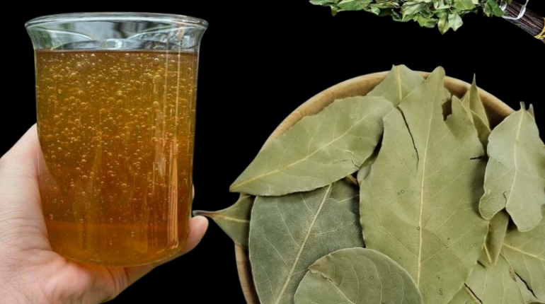 Avocado Leaves Bay Leaves Digestion Guava Leaves Herbal Remedies Immunity Mango Leaves Metabolism Natural Health 