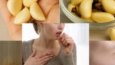 Knoblauch, Honig & Nelken: Wie diese ancestrale Mischung Immunität, Verdauung und tägliche Energie unterstützt