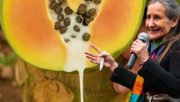Papaya-Saft: Wie dieses uralte enzymreiche Heilmittel Verdauung, Immunität und Wundheilung verbessert – Plus 3 Gruppen, die es vermeiden müssen Papaya-Saft: Wie dieses uralte enzymreiche Heilmittel Verdauung, Immunität und Wundheilung verbessert – Plus 3 Gruppen, die es vermeiden müssen