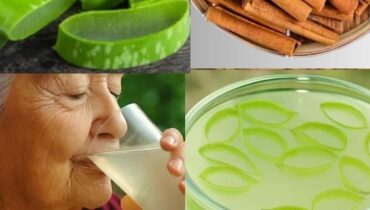 Aloe Vera und Zimt: Wie diese traditionelle Kombination Sehkraft, Verdauung und Zellgesundheit unterstützt Aloe Vera und Zimt: Wie diese traditionelle Kombination Sehkraft, Verdauung und Zellgesundheit unterstützt