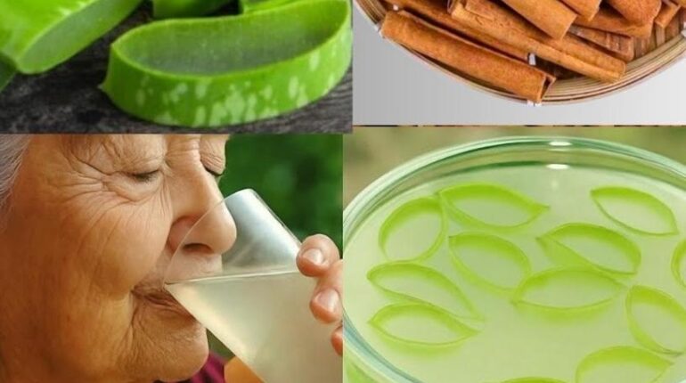 Aloe Vera Bladder Health Cellular Health Cinnamon Digestion Vision Health 