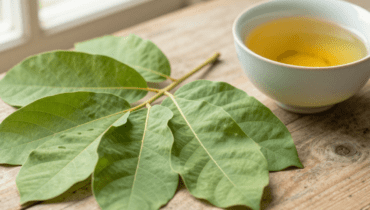 Guavenblatt-Tee: Wie dieser uralte Aufguss Verdauung, Immunität und Stoffwechselgleichgewicht unterstützt