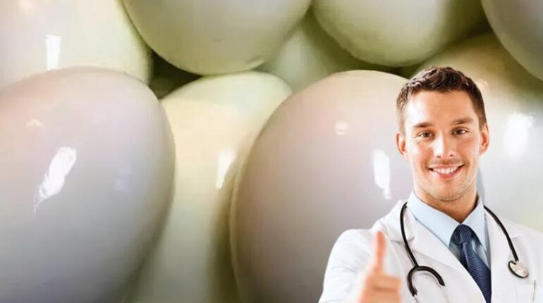 Boiled Eggs Brain Health Choline Eye Health Nutrition Plant-Based Protein 