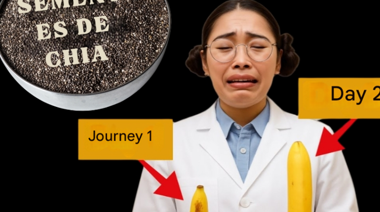 Chia Seeds DIY Beauty Eggshell Calcium Homemade Skincare Natural Remedies Skin Elixir Wellness Oil 