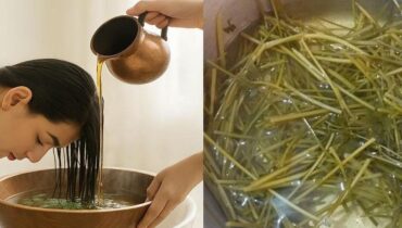 Antioxidants Crabgrass Follicle Health Hair Growth Hair Loss Natural Remedies Silica 