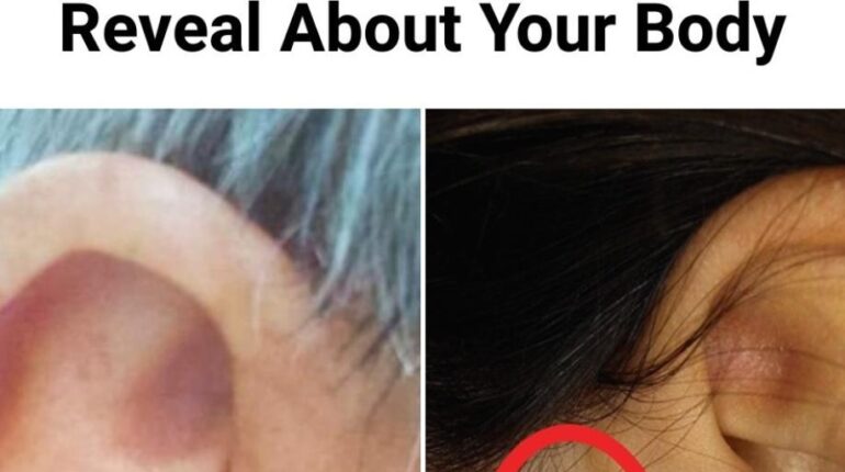 Cancer Risk Ear Health Ear Infections Genetic Syndromes Heart Health Medical Symptoms 