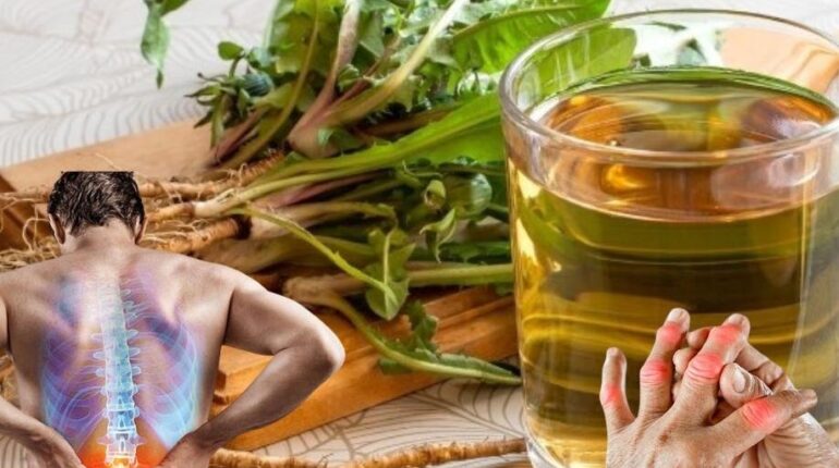 Daily Wellness Dandelion Root Detox Digestion Herbalism Liver Support Natural Remedies 