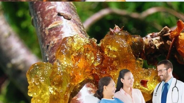 Detox Digestion Natural Remedies Peach Resin Skin Benefits Tao Jiao Traditional Medicine 