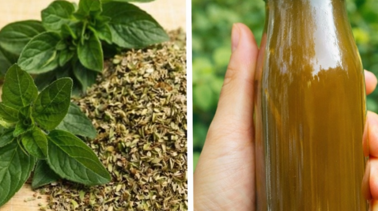 Antioxidants Eye Health Natural Remedies Oregano Screen Fatigue Vision Support 