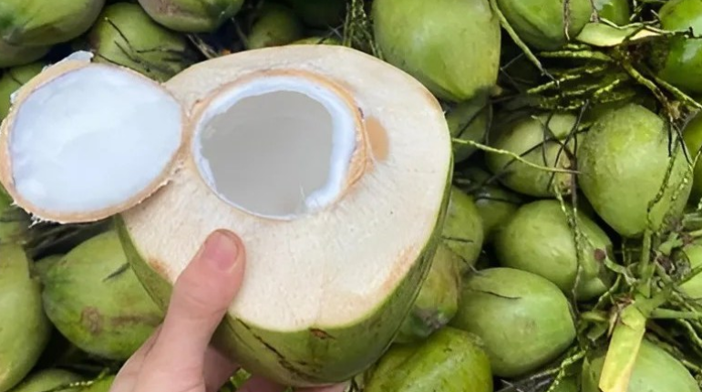 Coconut Water Dehydration Digestive Issues Health Benefits Medical Advice Potassium Sugar Content 