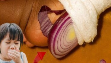 Congestion Relief Cough Relief Home Remedies Natural Health Quercetin Sleep Aid Sulfur Compounds 