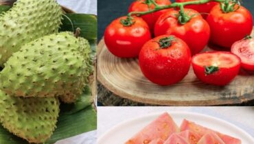 Daily Wellness Digestion Energy Fruit Blends Health Rituals Immunity Natural Remedies 