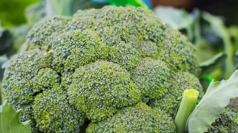 Broccoli Digestive Health Goitrogens Iodine Raw Vegetables Thyroid Health Vitamin K 