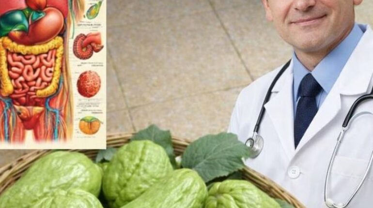 Bladder Health Chayote Heart Health Joint Health Natural Remedies Nutrition Seniors 