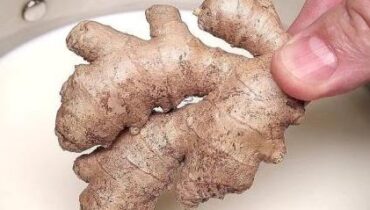 Dieses einfache Schlaftrunk tut das, das die meisten Menschen nie wussten, dass Ingwer tun könnte Dieses einfache Schlaftrunk tut das, das die meisten Menschen nie wussten, dass Ingwer tun könnte