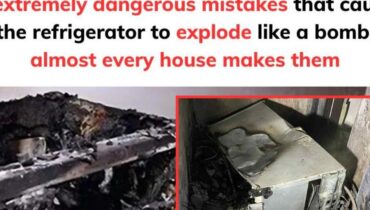 Mit 47 Jahren könnte diese Küche-Gewohnheit Ihr Zuhause abbrennen: « Ich wusste nicht, dass mein Kühlschrank… » Mit 47 Jahren könnte diese Küche-Gewohnheit Ihr Zuhause abbrennen: « Ich wusste nicht, dass mein Kühlschrank… »
