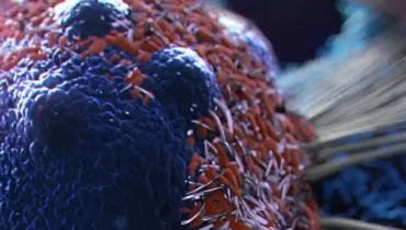 Dieses Lebensmittel senkte ihr Krebsrisiko um 40%—Das ist das, was Wissenschaftler gerade entdeckt haben Dieses Lebensmittel senkte ihr Krebsrisiko um 40%—Das ist das, was Wissenschaftler gerade entdeckt haben